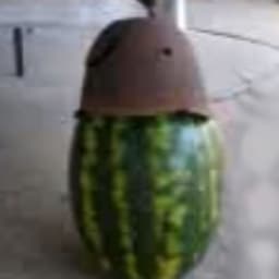 shelofor