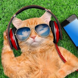 street_dj