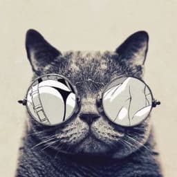 GILLYTRYANKA