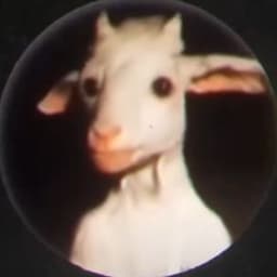 NaLi666
