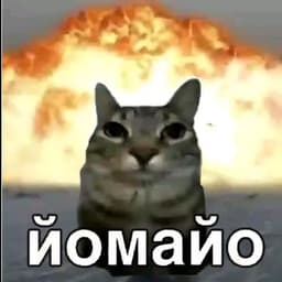 Maryriko