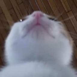 GRGGHHH