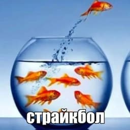 ESTOAN