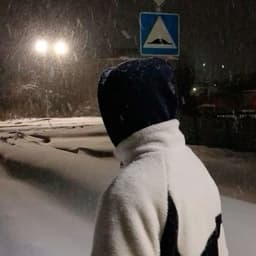 RESTJ-