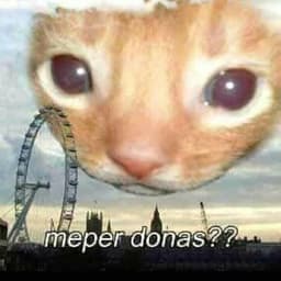 -mingo