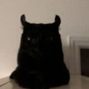 gentCS-