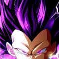 TheVEGETA