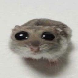 UebanLewia