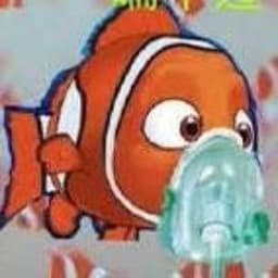 C1ownFish