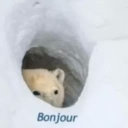 Deqqq_