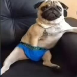 Freebiesbtw