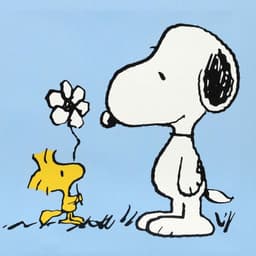 SnoopyKhs