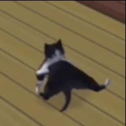 BNDDT