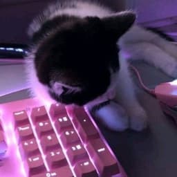 _Solnyshk0o_