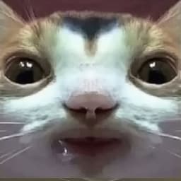 manrulu