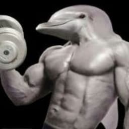 Dr-Dolphin