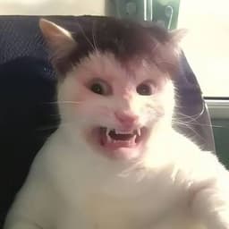 uhahage