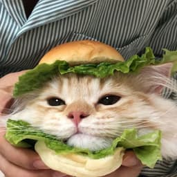 BURGER_KING