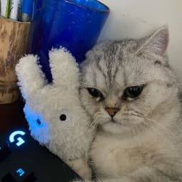 Barra_cs