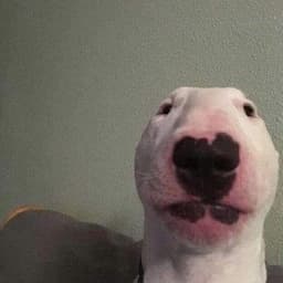 Malko2