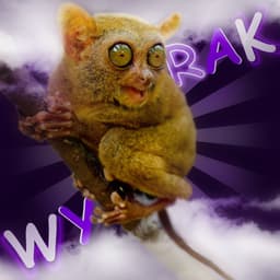 Wyrakowy