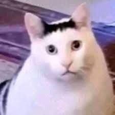 H3ermansson