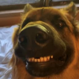 uhWeit