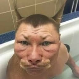 l1lyugurt