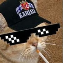 _N1k0s
