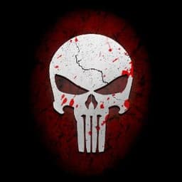 Punisher_O07