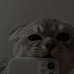 sofixxq