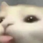 hezzutv