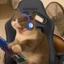 _n1cee