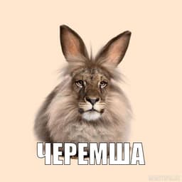 -cheremsha-