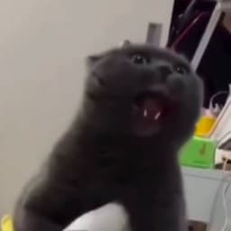 krbIsik