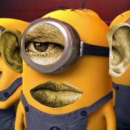 gUFIC