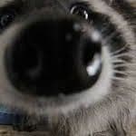 s1eepy_