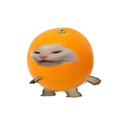 Mandarjn