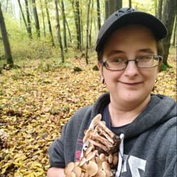 pano12