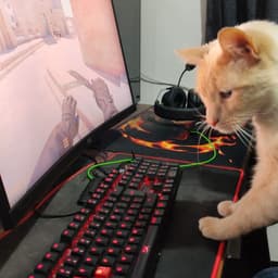 Raibencs