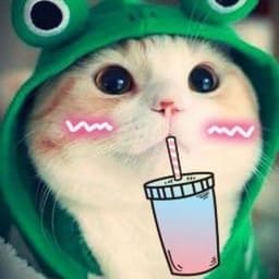 egor_dro