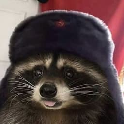 KURWA_xomyk