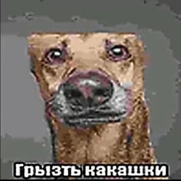 Fllepy