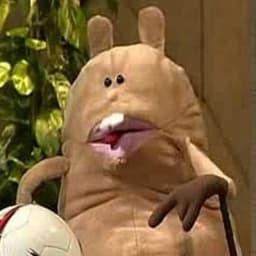 Blobber