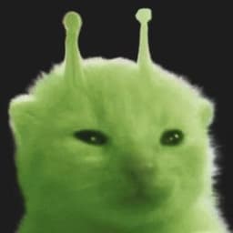 YCatBarsik