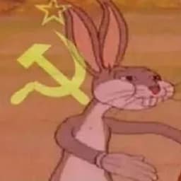 XXLKIN