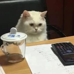 Ly23