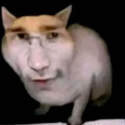 ImJabkovich