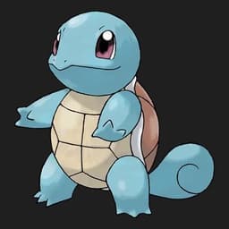 squirtle1408