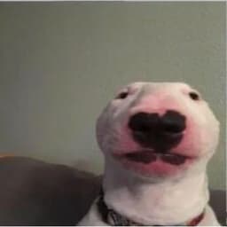 BoDi4ka_2